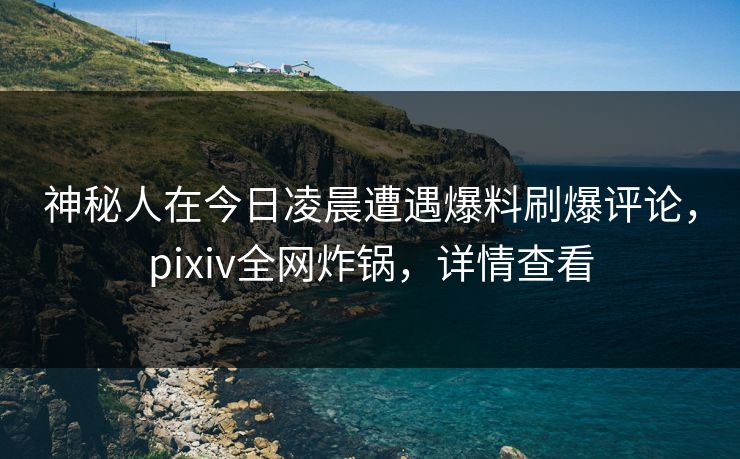 神秘人在今日凌晨遭遇爆料刷爆评论，pixiv全网炸锅，详情查看